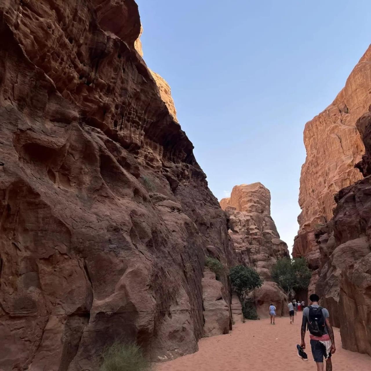 Bedouin Holidays Camp And Jeep Tours 와디럼 외부 사진