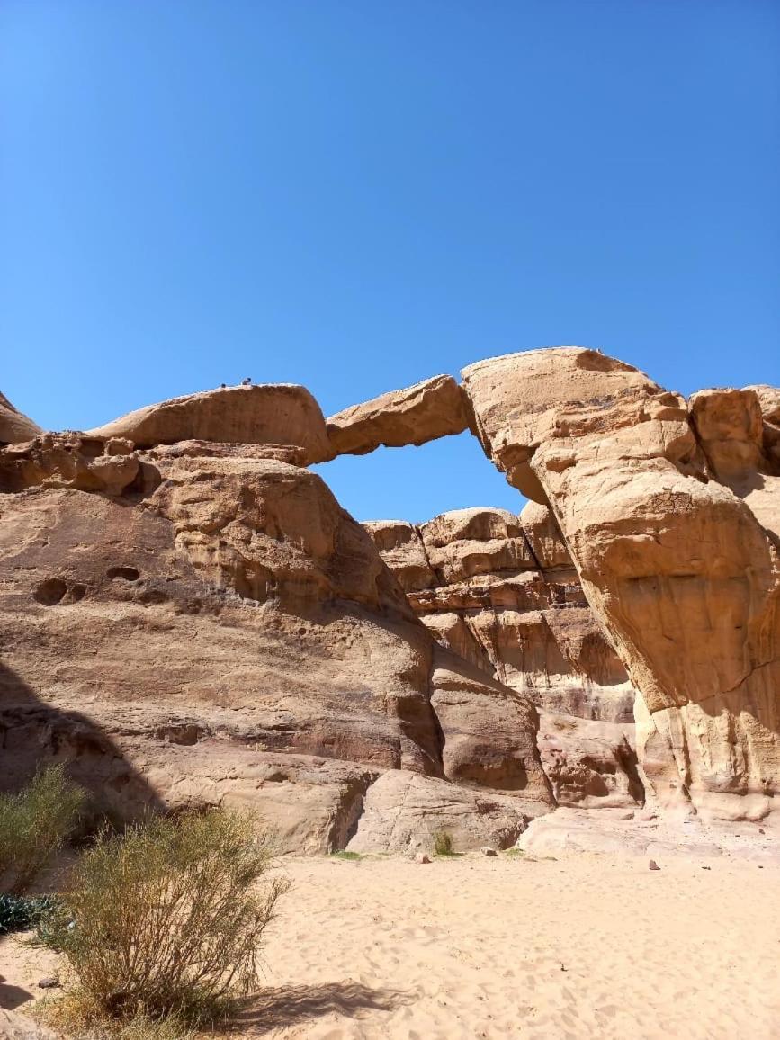 Bedouin Holidays Camp And Jeep Tours 와디럼 외부 사진